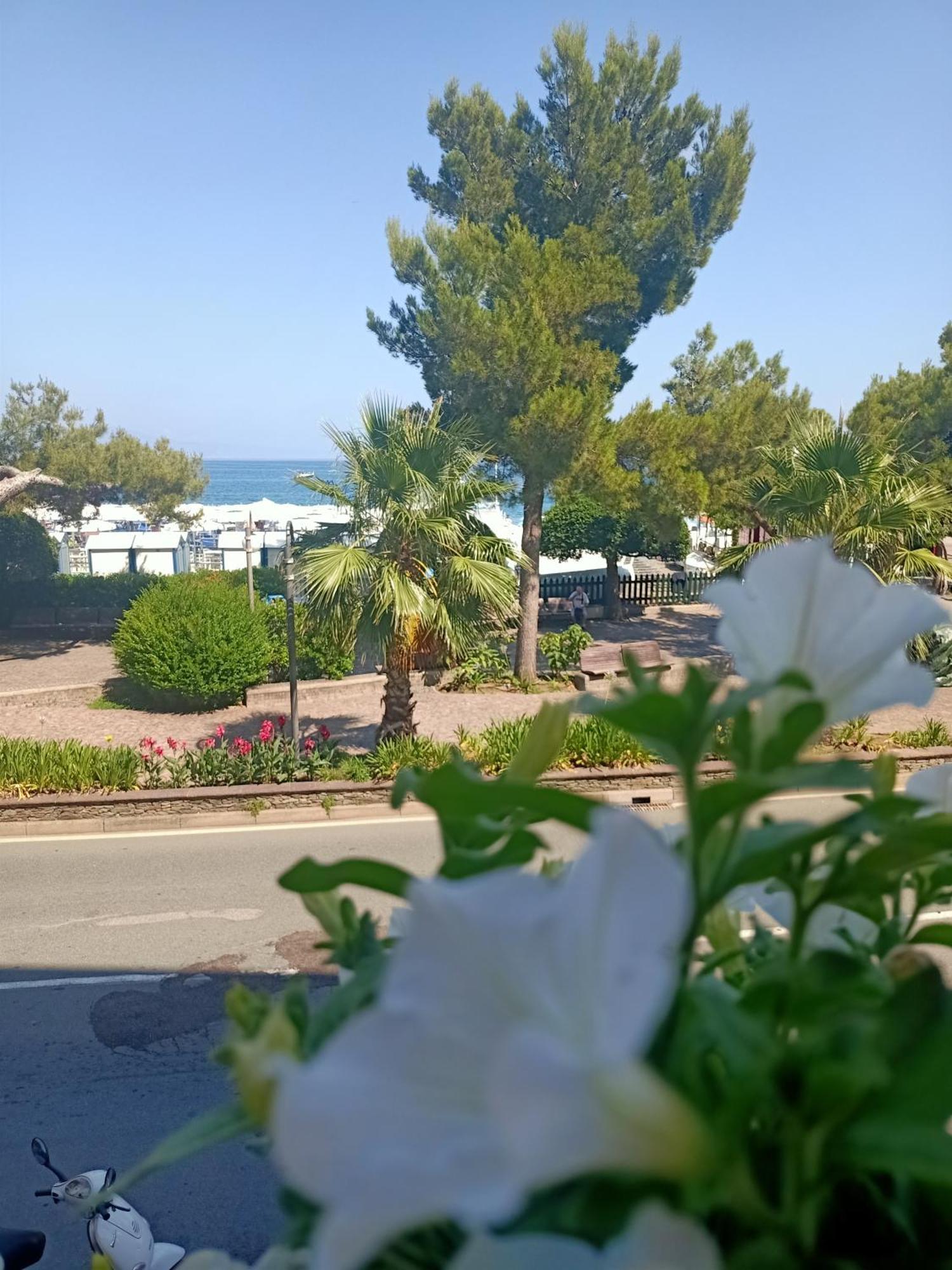 Hotel Serena أرنزانو المظهر الخارجي الصورة